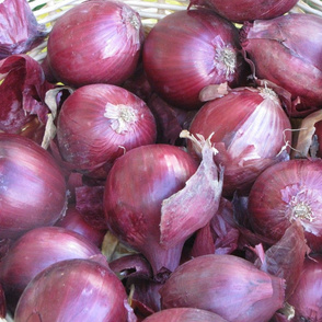 farmeronions