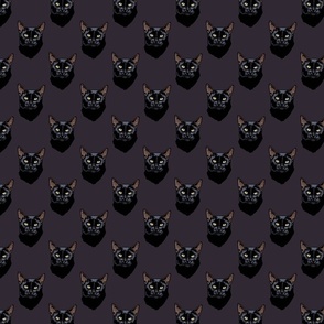 Black cat pattern