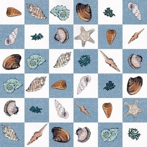 Seashell Chess by Brittanylane