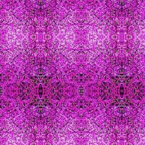 A Fuzzy Carpet of  Vivid Pinks
