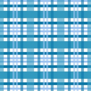 Medium Blue Plaid Pattern 