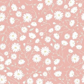 White Daisies on Pink Earth