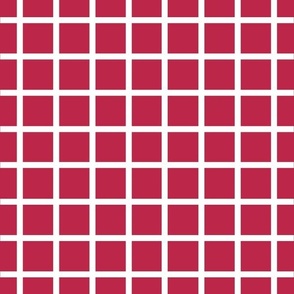 Viva Magenta and white narrow retro check