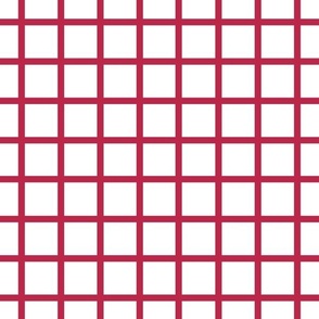 Viva Magenta narrow retro check on white