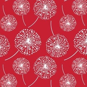 Dandelion clocks white on red (medium)