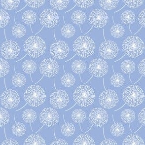 Dandelion clocks white on sky blue (small)