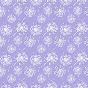 Dandelion clocks white on lilac 2022 (small)