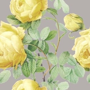 Yellow vintage roses on cool gray 3