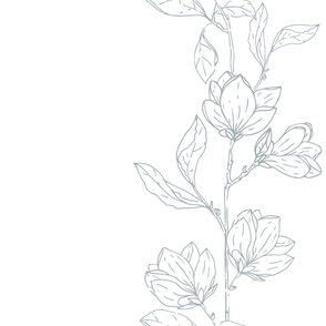 Beautiful Delicate Magnolia Branches with Flowers Line art Border in light blue.