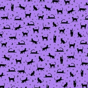 black cats and stars on purple