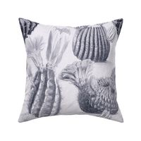 VINTAGE BLOOMING CACTI - CHARCOAL ON WHITE