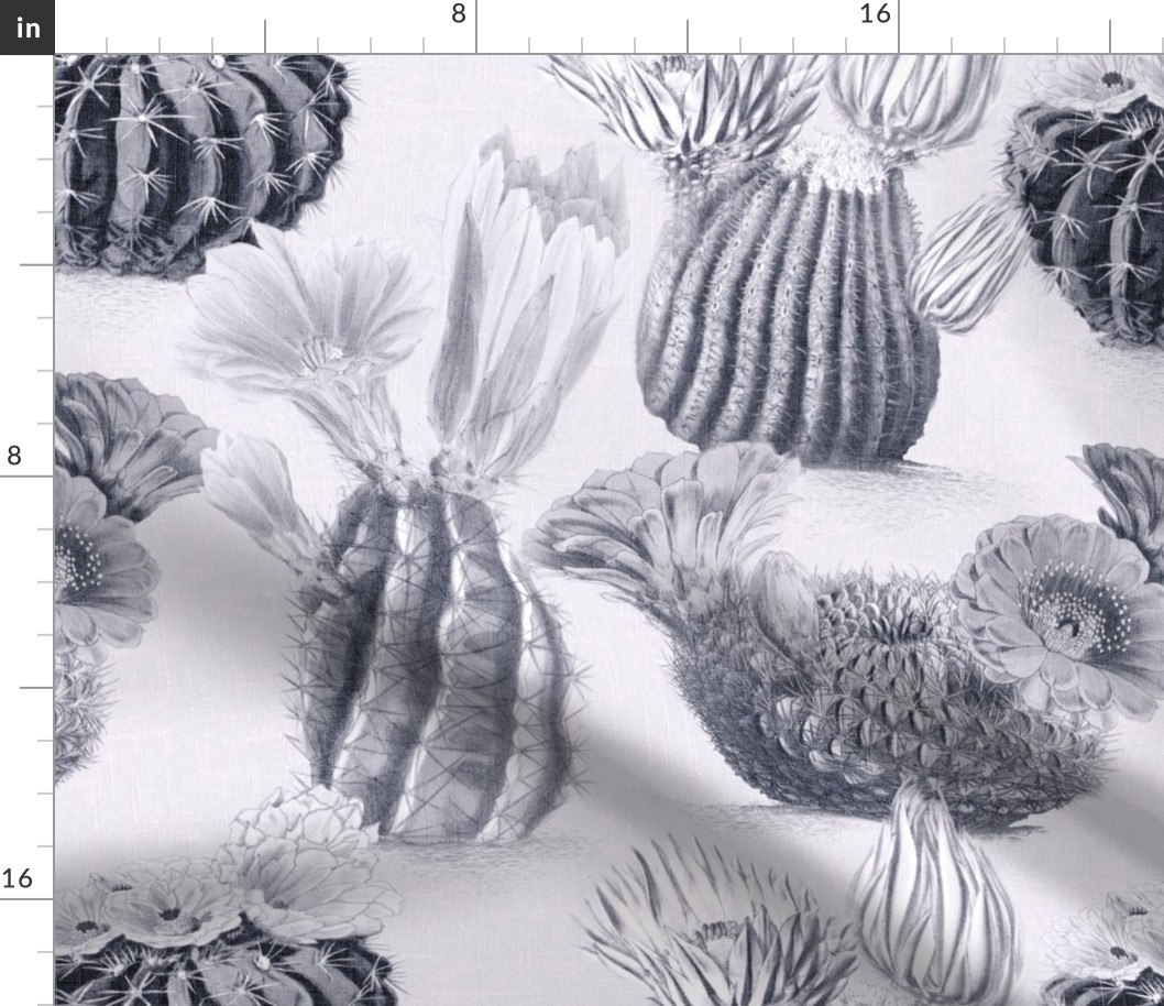 VINTAGE BLOOMING CACTI - CHARCOAL ON WHITE
