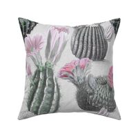 VINTAGE BLOOMING CACTI - MUTED RETRO, PINK BLOSSOMS