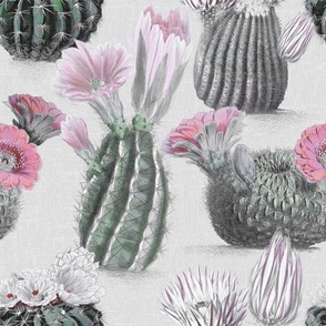 VINTAGE BLOOMING CACTI - MUTED RETRO, PINK BLOSSOMS