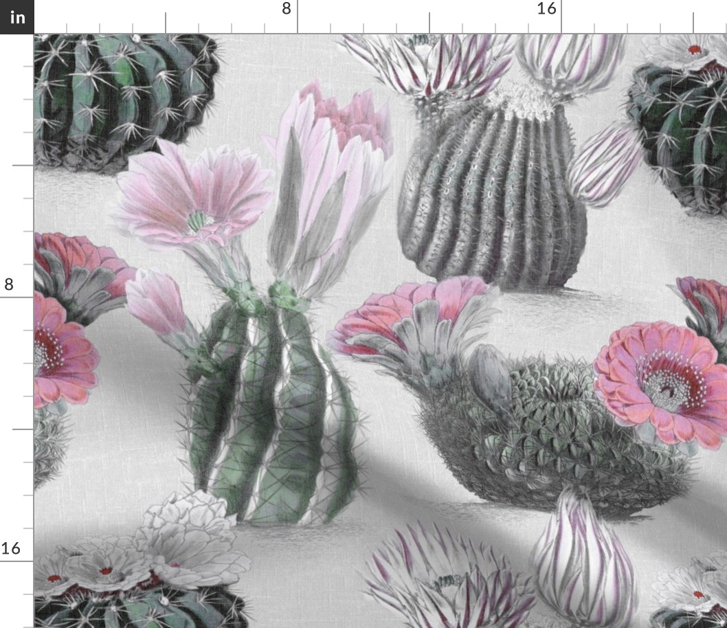 VINTAGE BLOOMING CACTI - MUTED RETRO, PINK BLOSSOMS