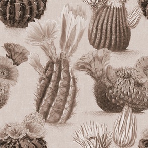 VINTAGE BLOOMING CACTI - FADED SEPIA