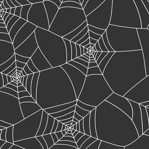 Spiderwebs white on black night - large scale