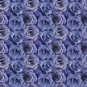 periwinkle rose small scale