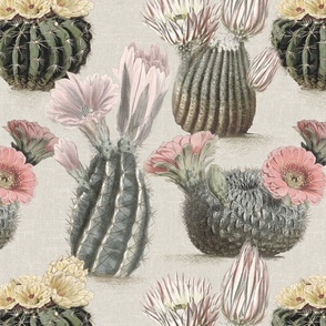 VINTAGE BLOOMING CACTI - MUTED RETRO COLORS