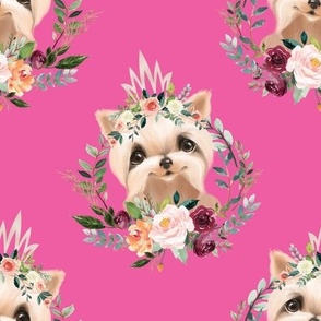  6" paprika floral yorkie with crown on bubblegum pink background