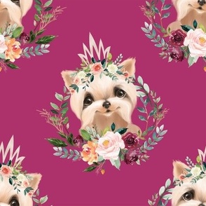  6" paprika floral yorkie with crown on pink background