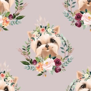 6" paprika floral yorkie with crown on lavender pink background