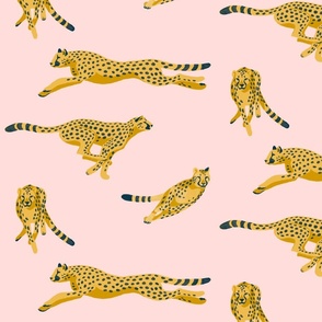 Cheetahs Running on Pale Pink