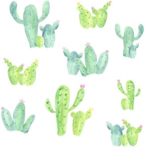 Cactus / Watercolor Cactus