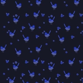 Dark Blue Fairy Wrens