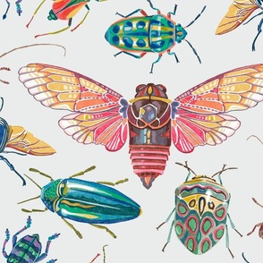 Bugs and Beetles, Large Print, on Bright Gray
