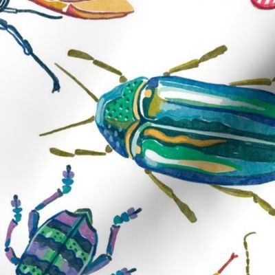 Bugs and Beetles, Large, White Background