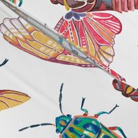 Bugs and Beetles, Large, White Background
