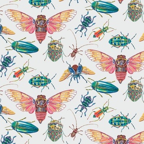 Bugs and Beetles, Small Print, on Bright Gray