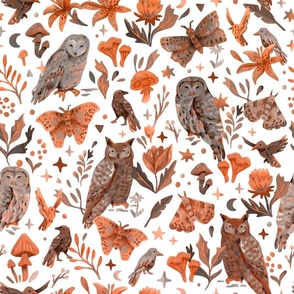 Owls - pumpkin orange