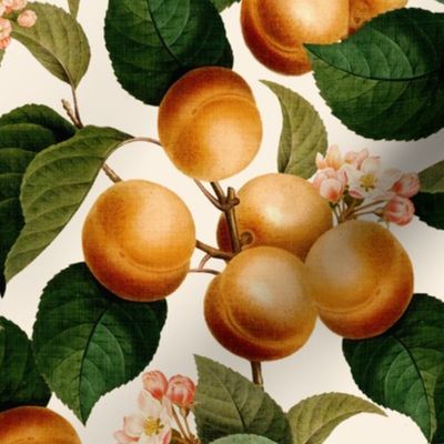 14" Nostalgic Yellow Plum Kitchen Wallpaper, Vintage Plums Fabric,  Fall Home Decor, Fruit Harvest,  linen texture off white
