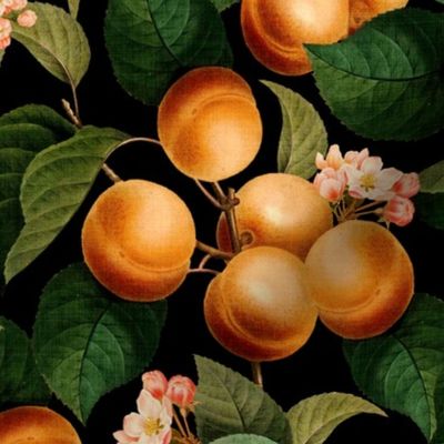 14" Nostalgic Yellow Plum Kitchen Wallpaper, Vintage Plums Fabric,  Fall Home Decor, Fruit Harvest,  linen texture black