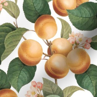 14" Nostalgic Yellow Plum Kitchen Wallpaper, Vintage Plums Fabric,  Fall Home Decor, Fruit Harvest,  linen texture white