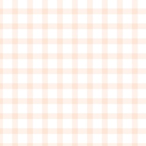 Vintage Spring Light Pink and White Checked Gingham 24 inch