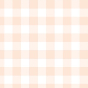 Vintage Spring Light Pink Gingham 24 inch