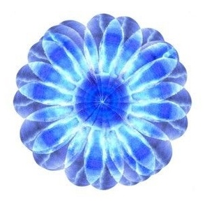 Floating Blue Flowers