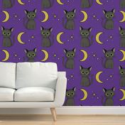 Halloween Cats - X-Large - Purple