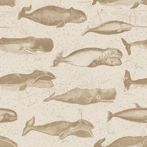 Vintage Whale Illustrations in Sepia