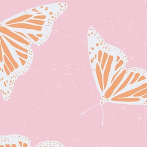 pink orange butterfly lg