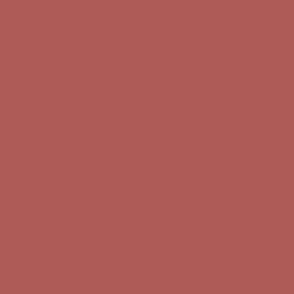 Cranberry Clay Solid: Dusty Red 3