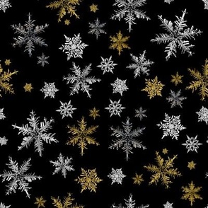 Winter Silver and Gold Snowflakes on Black-Large