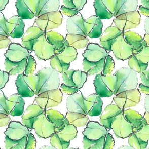 Strawberry Leaves on White_watercolour