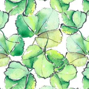 Strawberry Leaves on White_watercolour_large