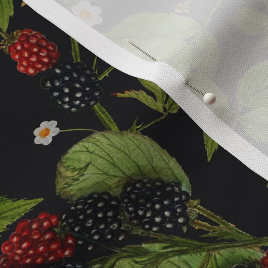 14" Tasty nostalgic  blackberries,  vintage blackberry fabric, harvest pattern, dramatic night blue