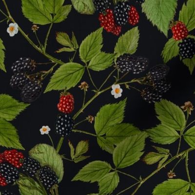 14" Tasty nostalgic  blackberries,  vintage blackberry fabric, harvest pattern, night blue