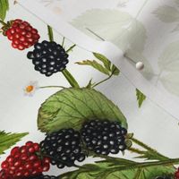 14" Tasty nostalgic  blackberries,  vintage blackberry fabric, harvest pattern, white